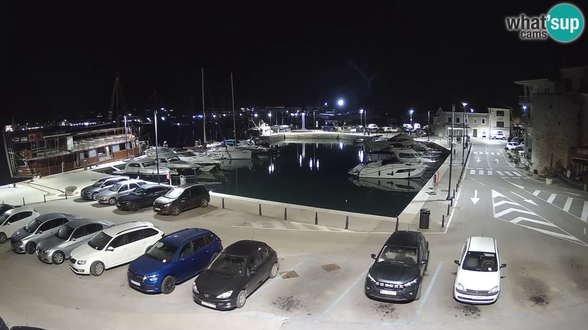 Novigrad | Porporela marina