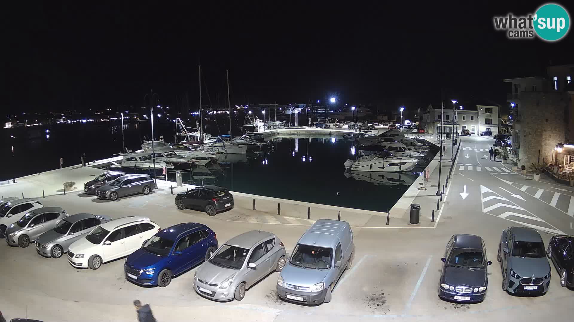 Novigrad | Porporela marina