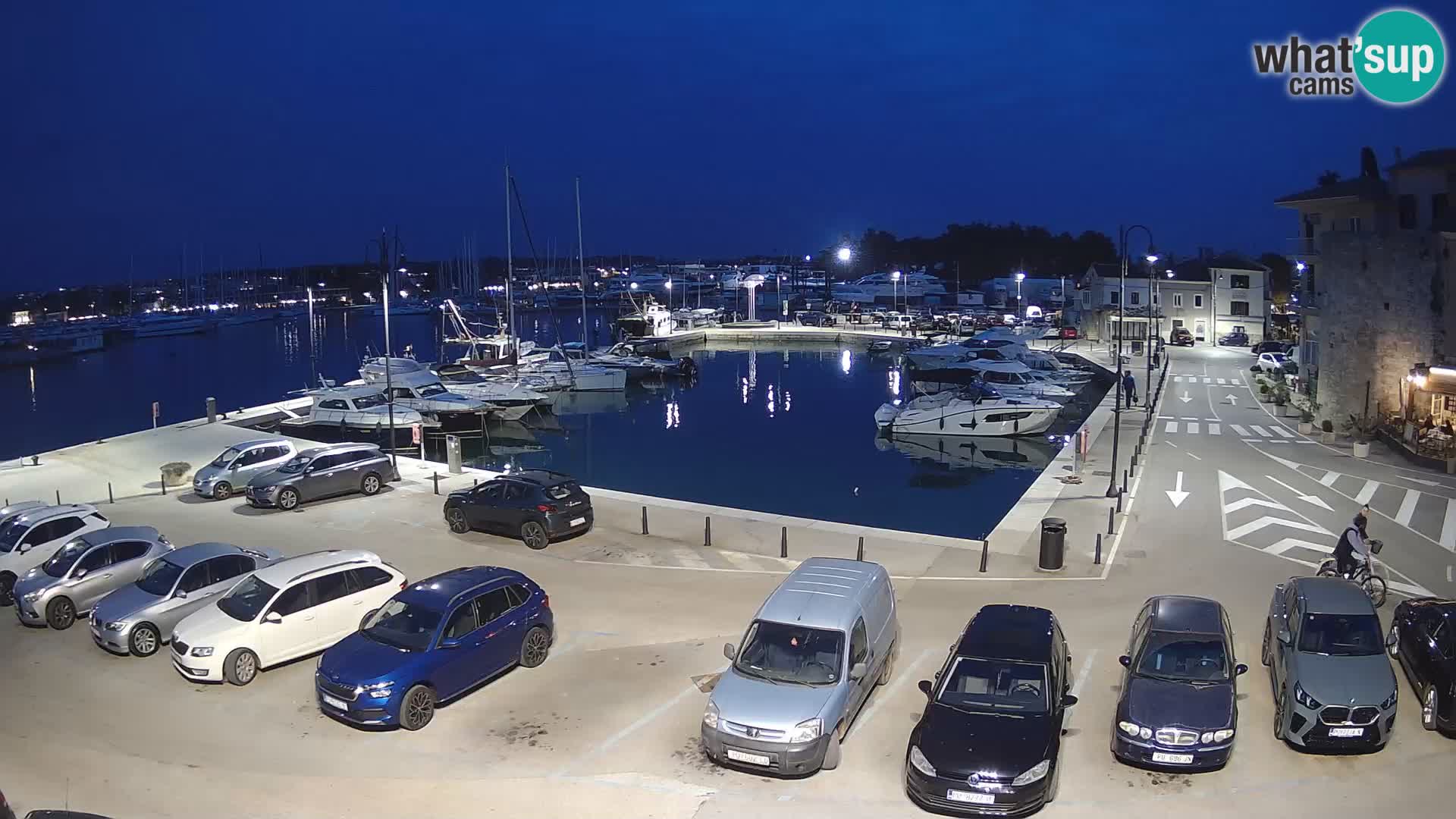 Novigrad | Porporela marina