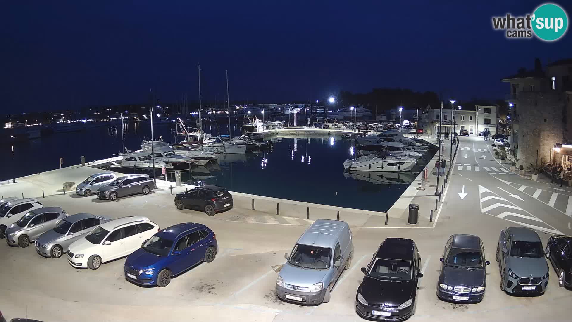 Novigrad | Porporela marina