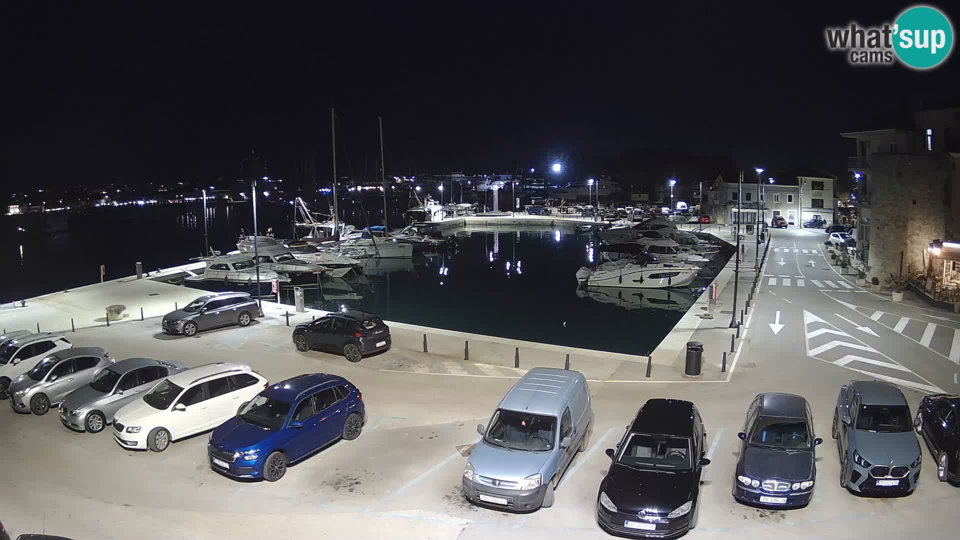 Novigrad | Porporela marina