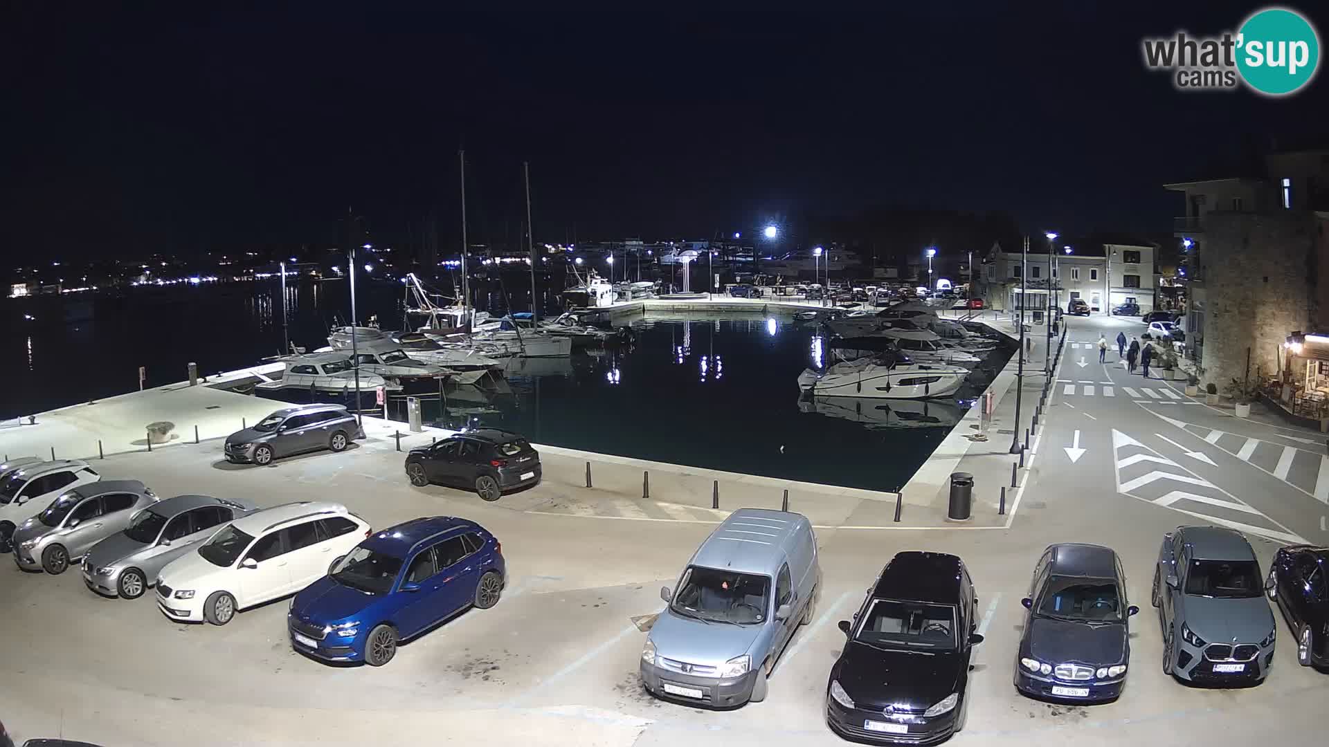 Novigrad | Porporela marina