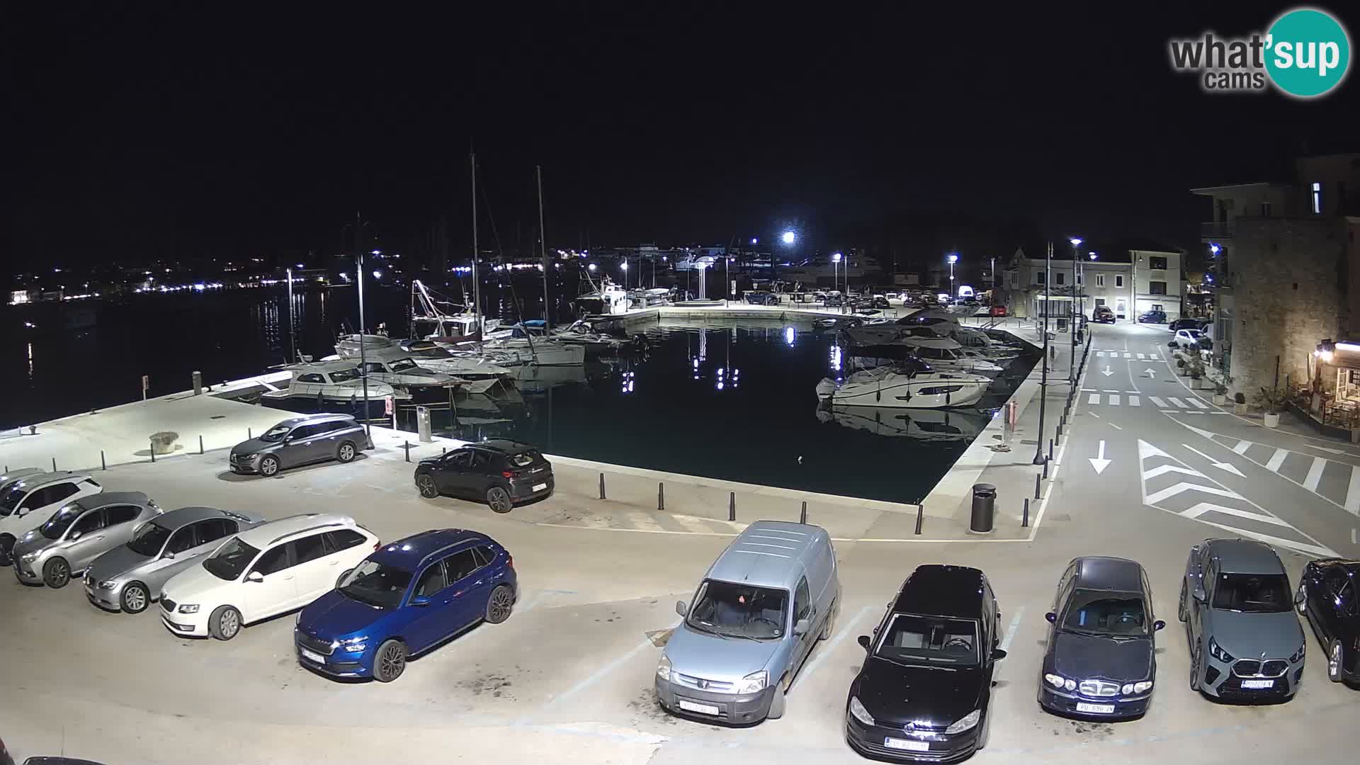 Novigrad | Porporela marina