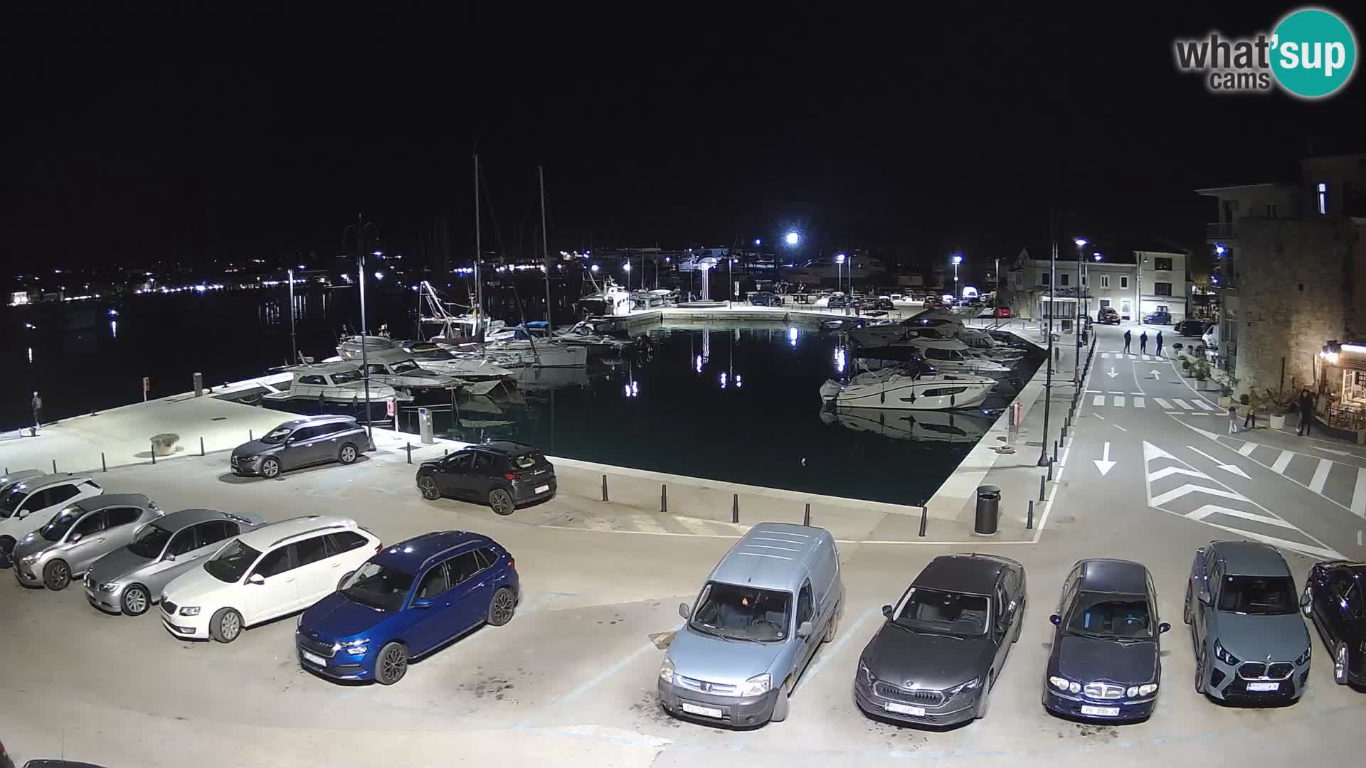 Novigrad | Porporela marina
