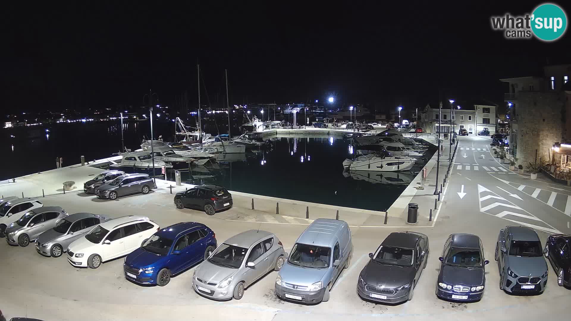 Novigrad | Porporela marina