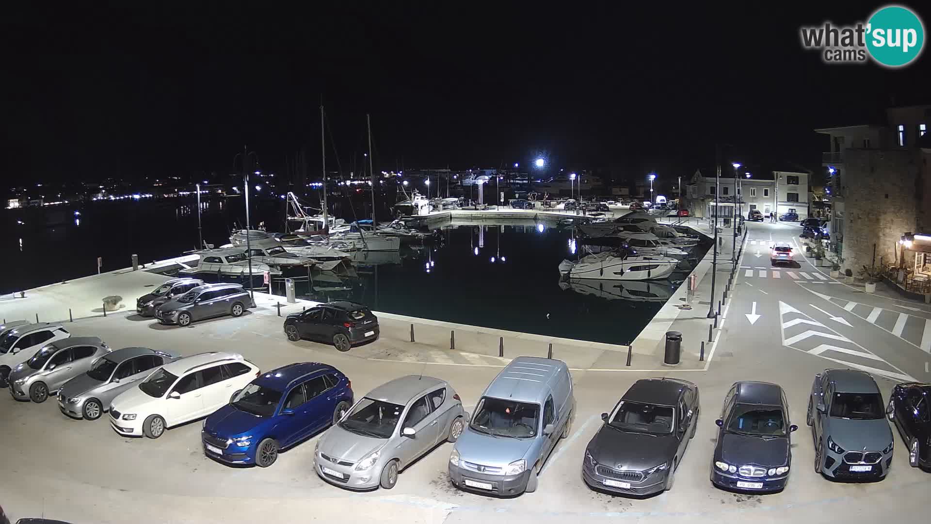 Novigrad | Porporela marina