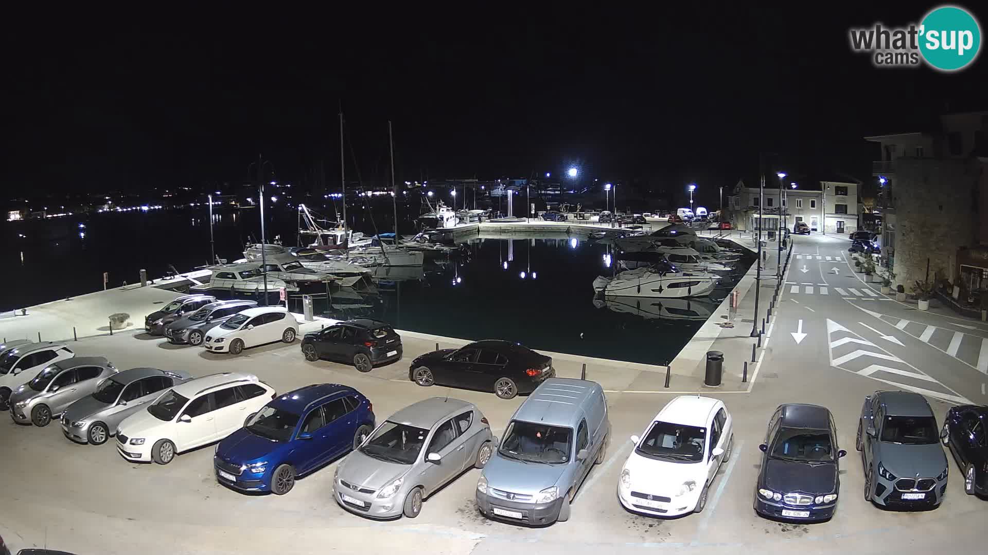 Novigrad | Porporela marina