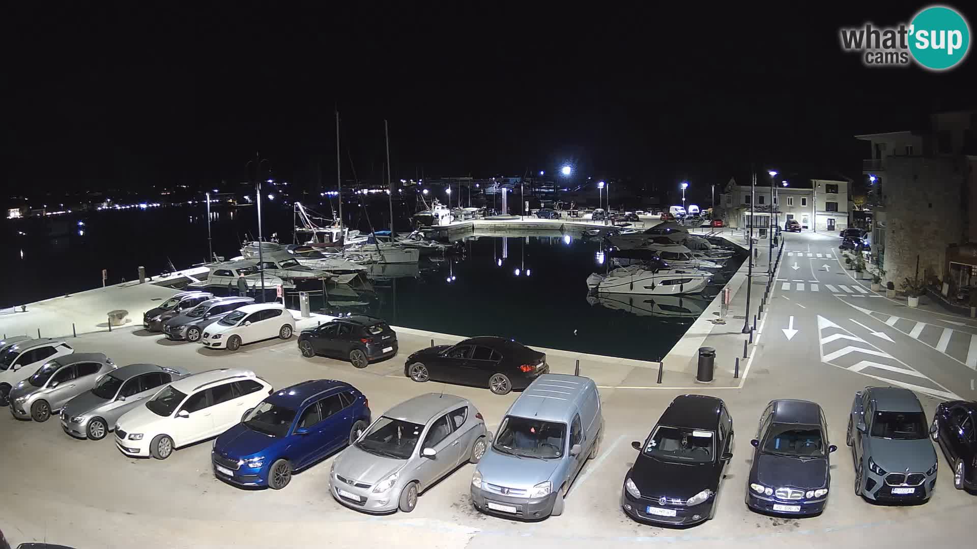 Novigrad | Porporela marina