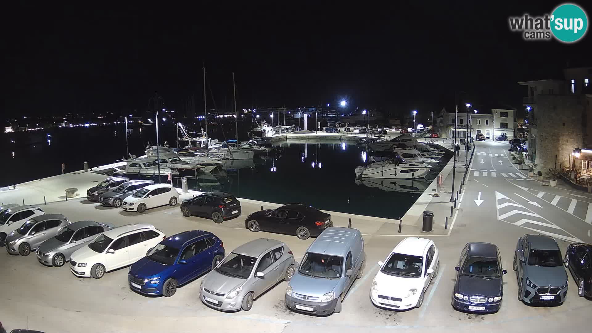 Novigrad | Porporela marina