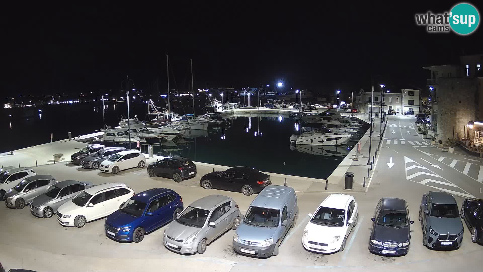 Novigrad | Porporela marina