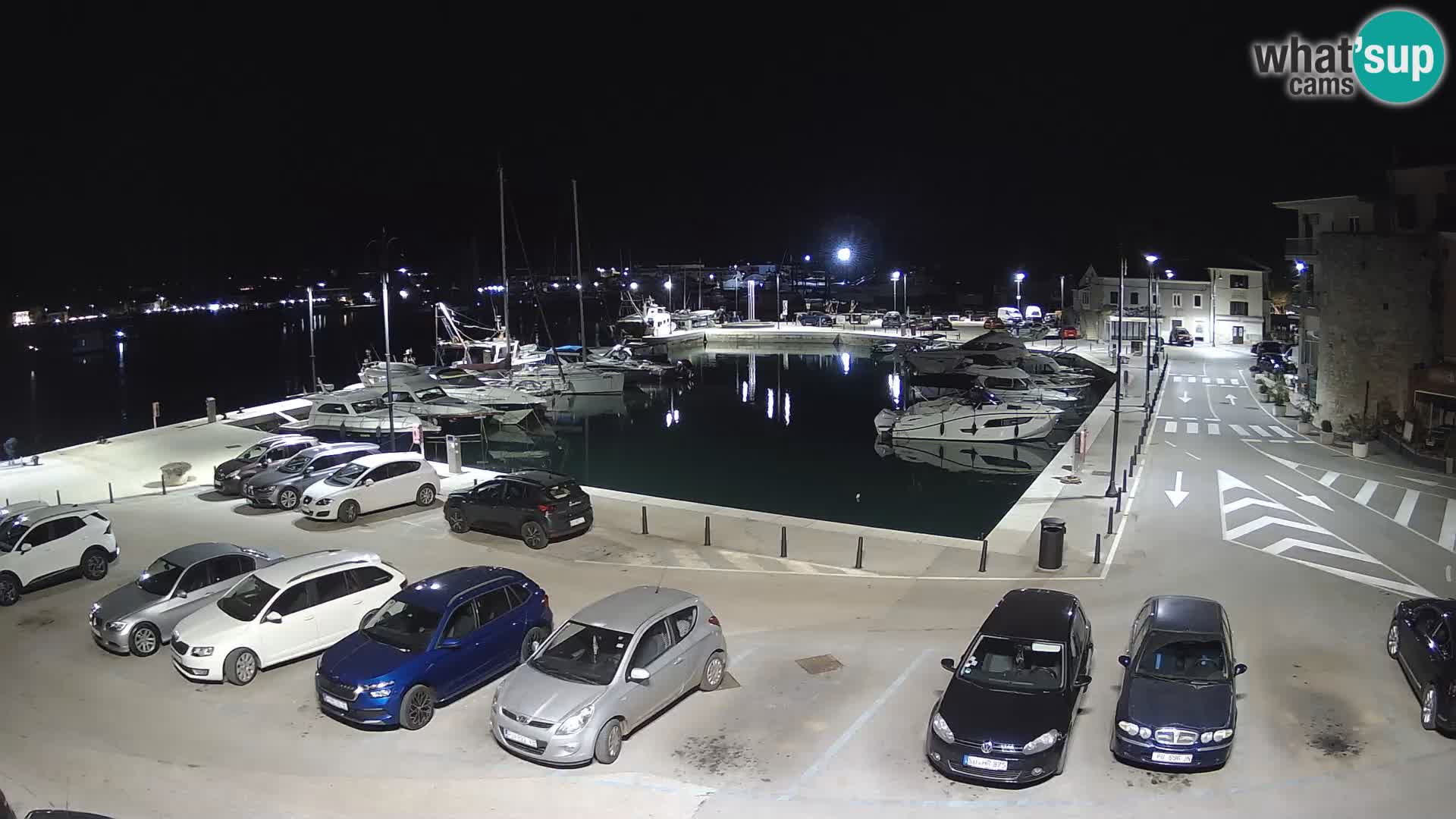 Novigrad | Porporela marina