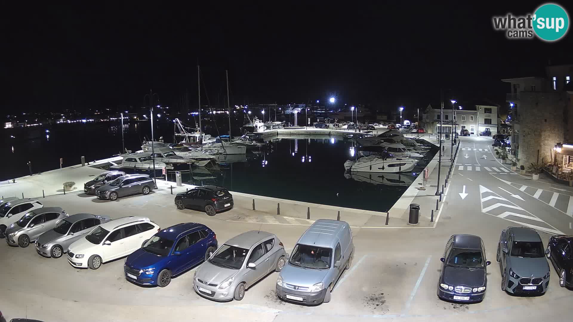Novigrad | Porporela marina