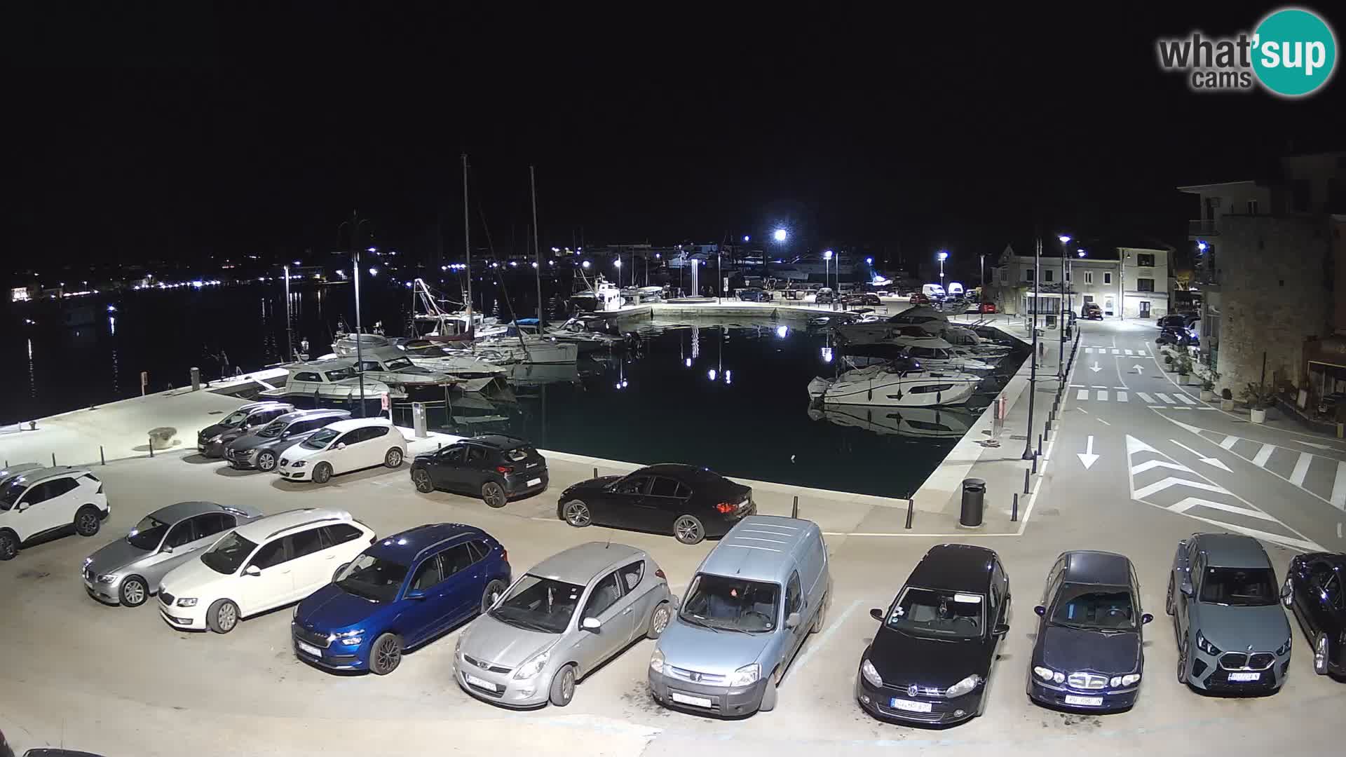 Novigrad | Porporela marina