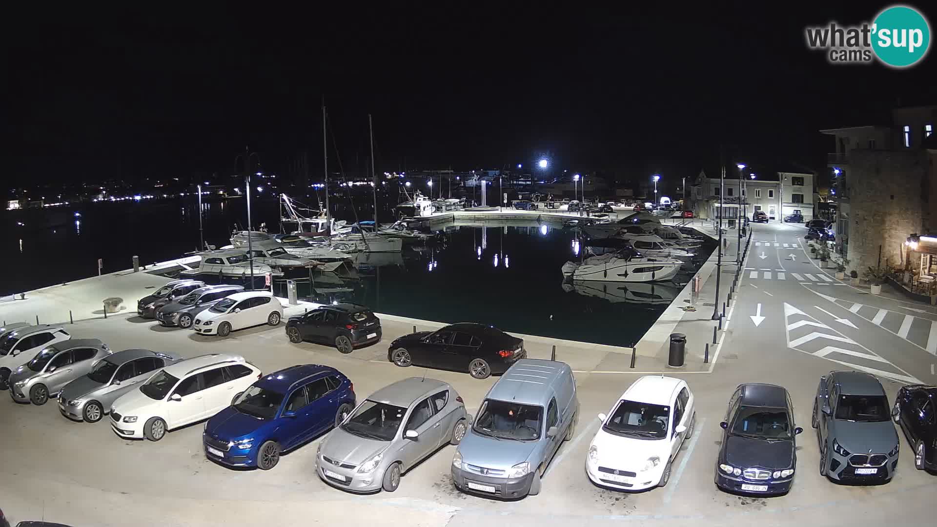 Novigrad | Porporela marina