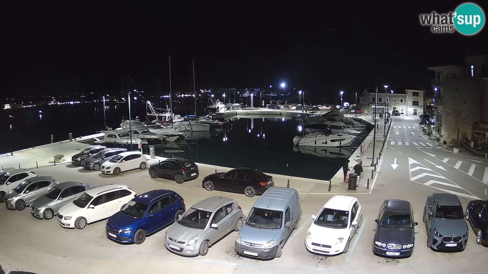 Novigrad | Porporela marina