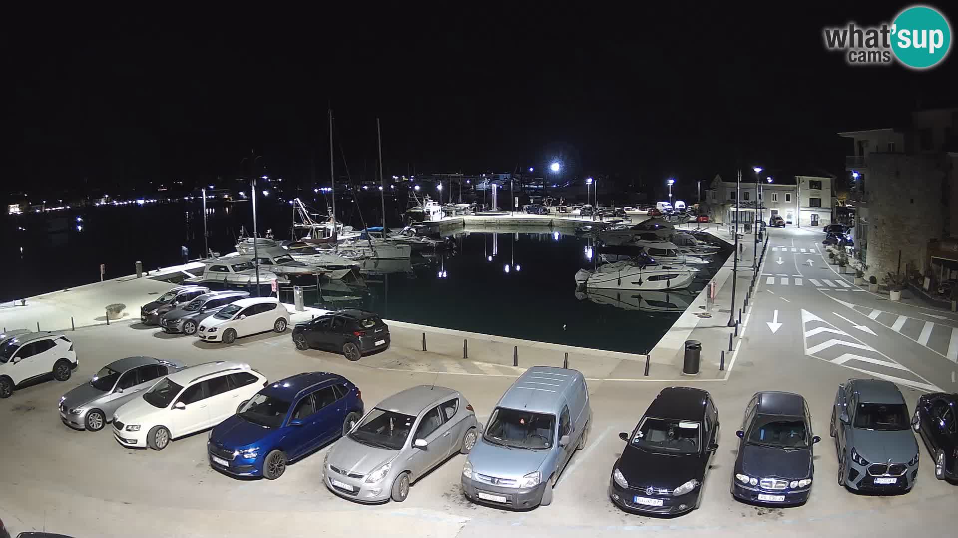 Novigrad | Porporela marina