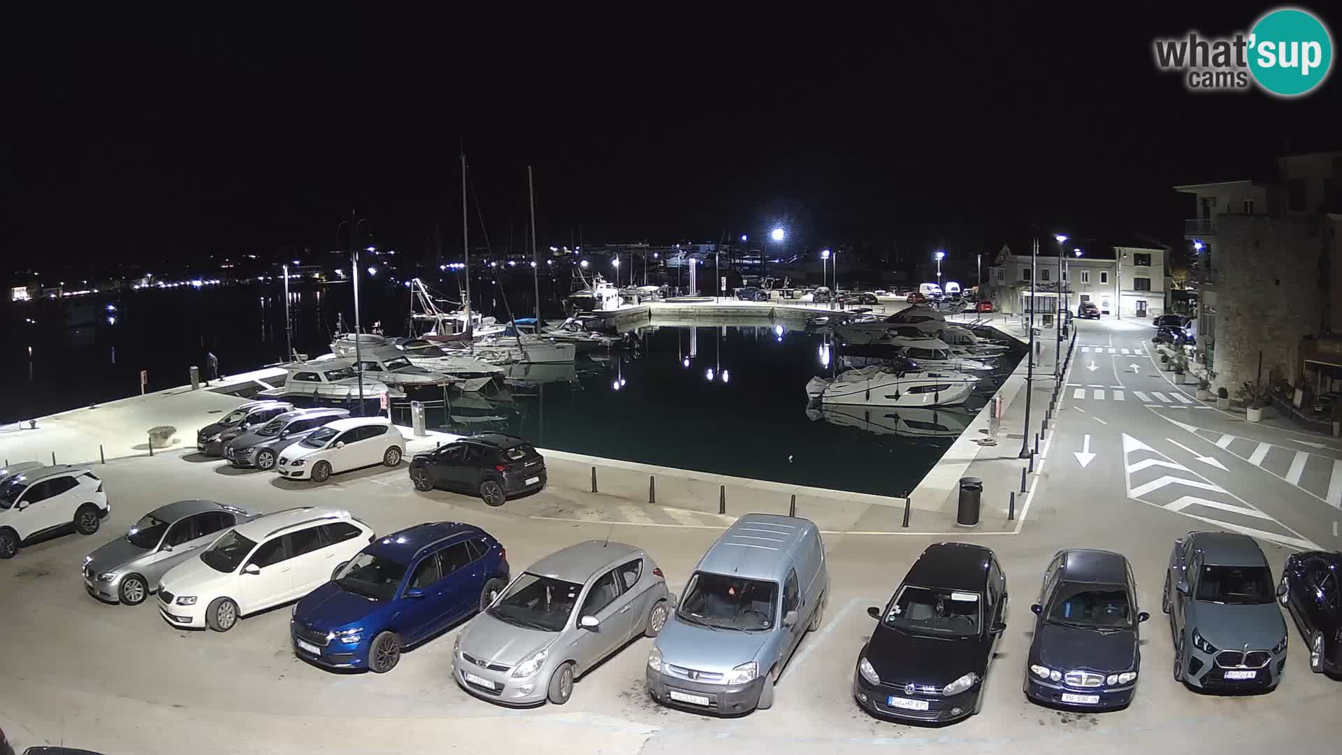 Novigrad | Porporela marina