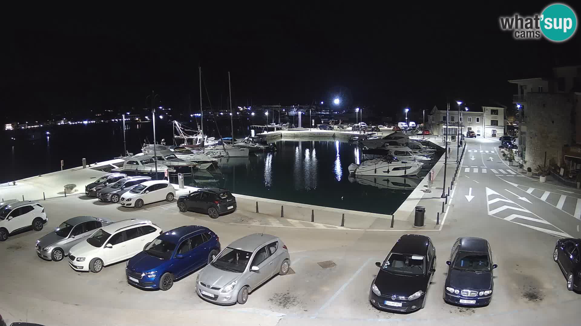 Novigrad | Porporela marina