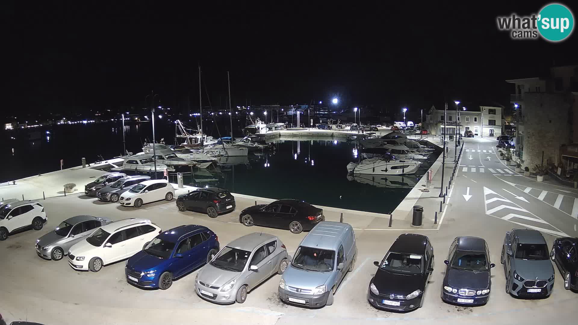 Novigrad | Porporela marina