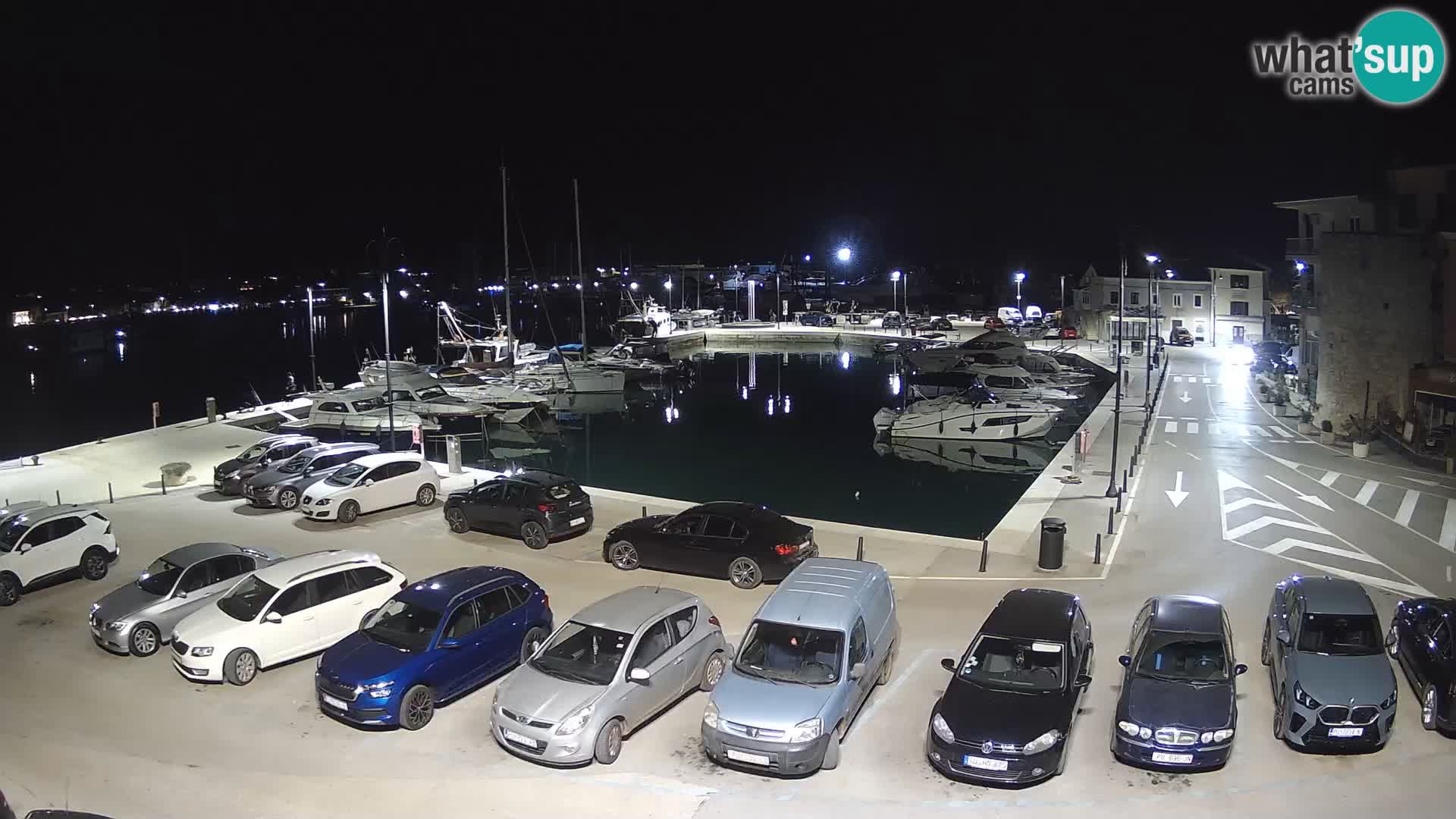 Novigrad | Porporela marina