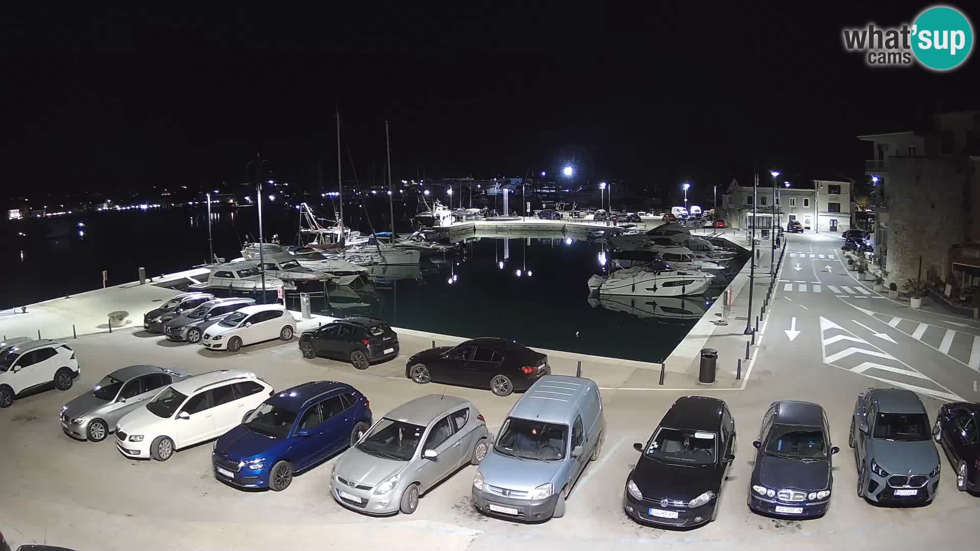 Novigrad | Porporela marina