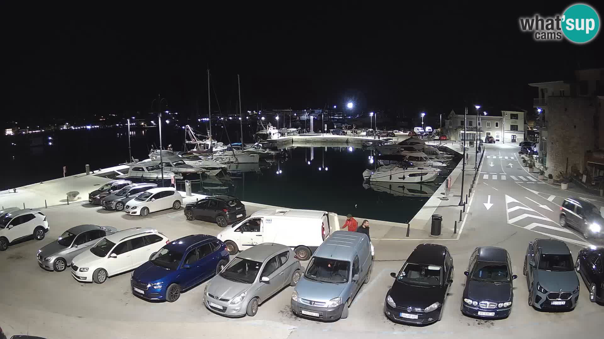Novigrad | Porporela marina