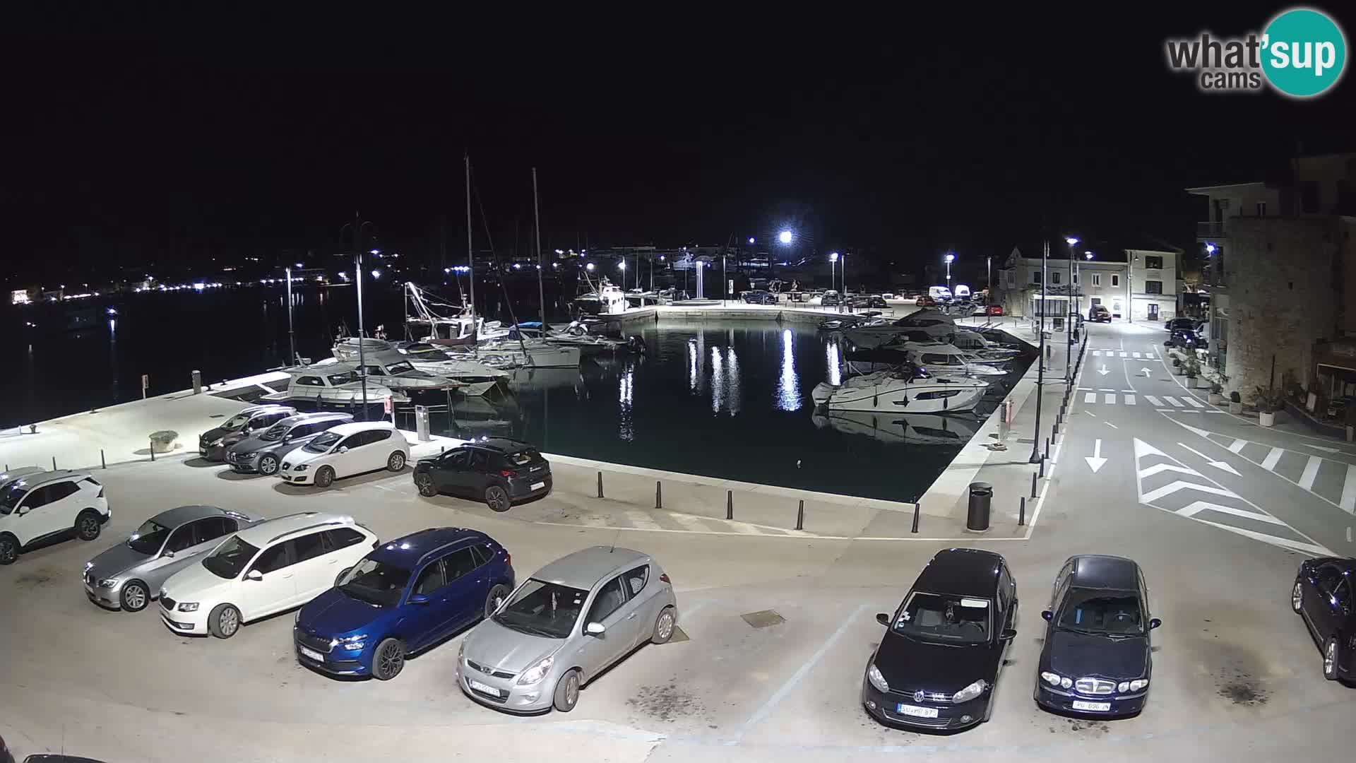 Novigrad | Porporela marina
