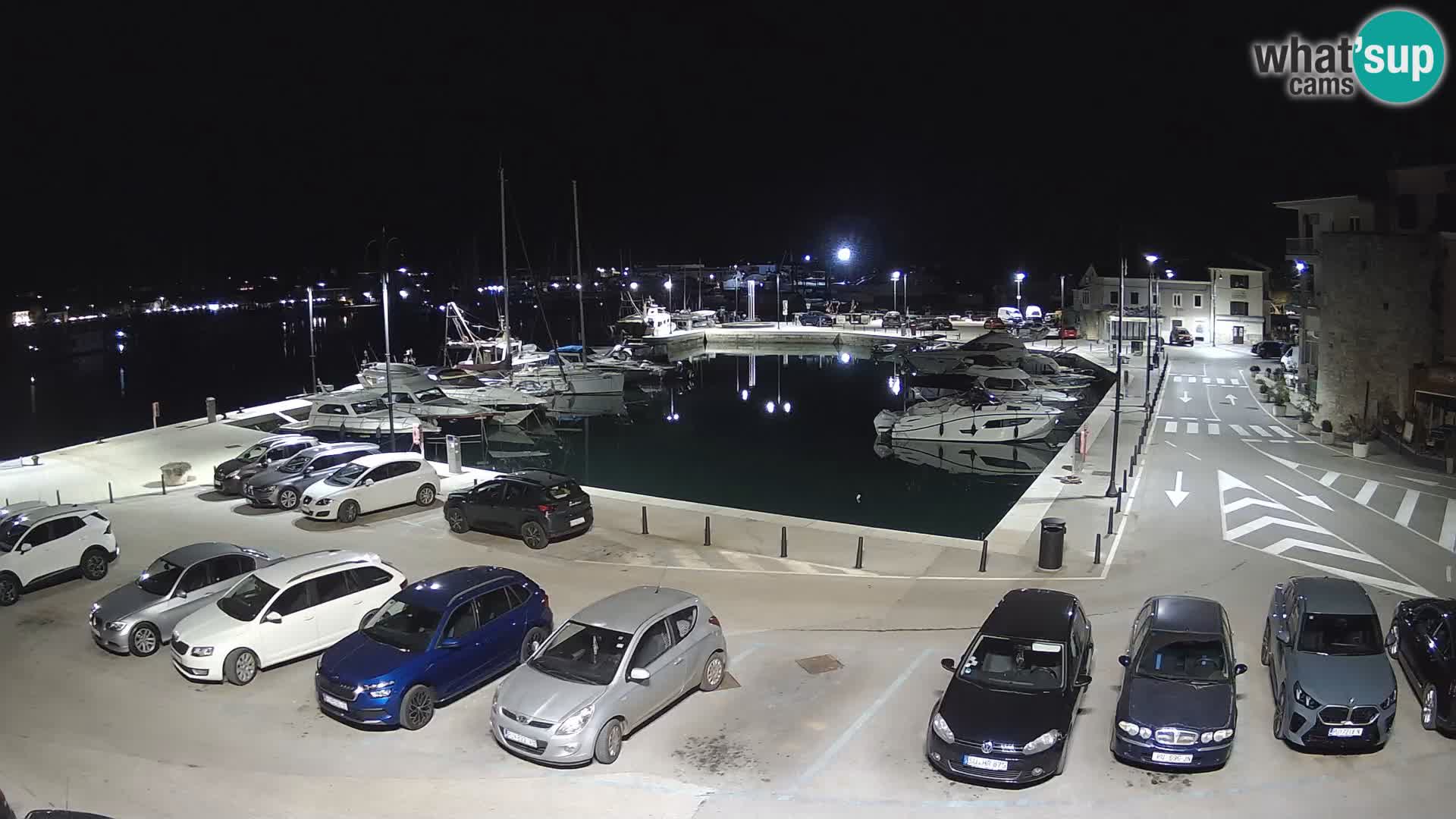 Novigrad | Porporela marina
