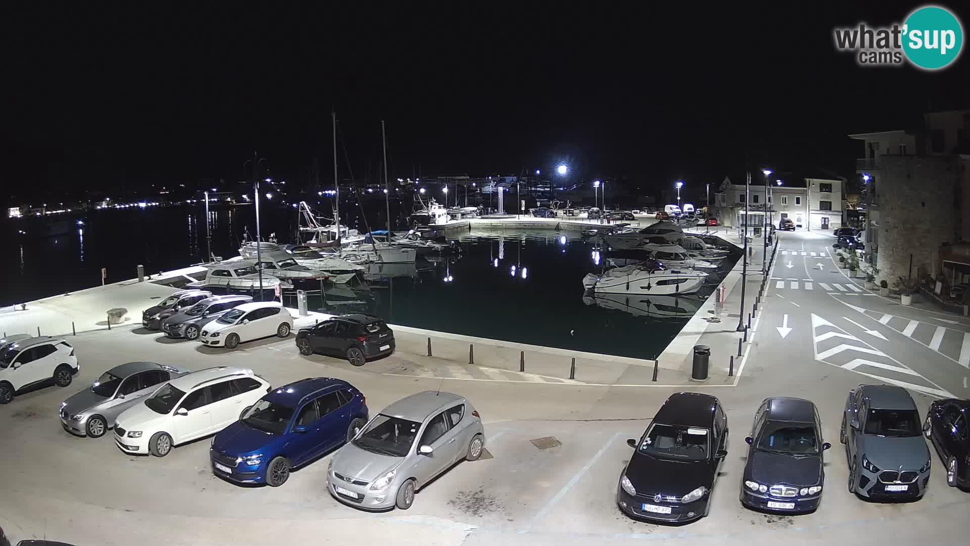 Novigrad | Porporela marina