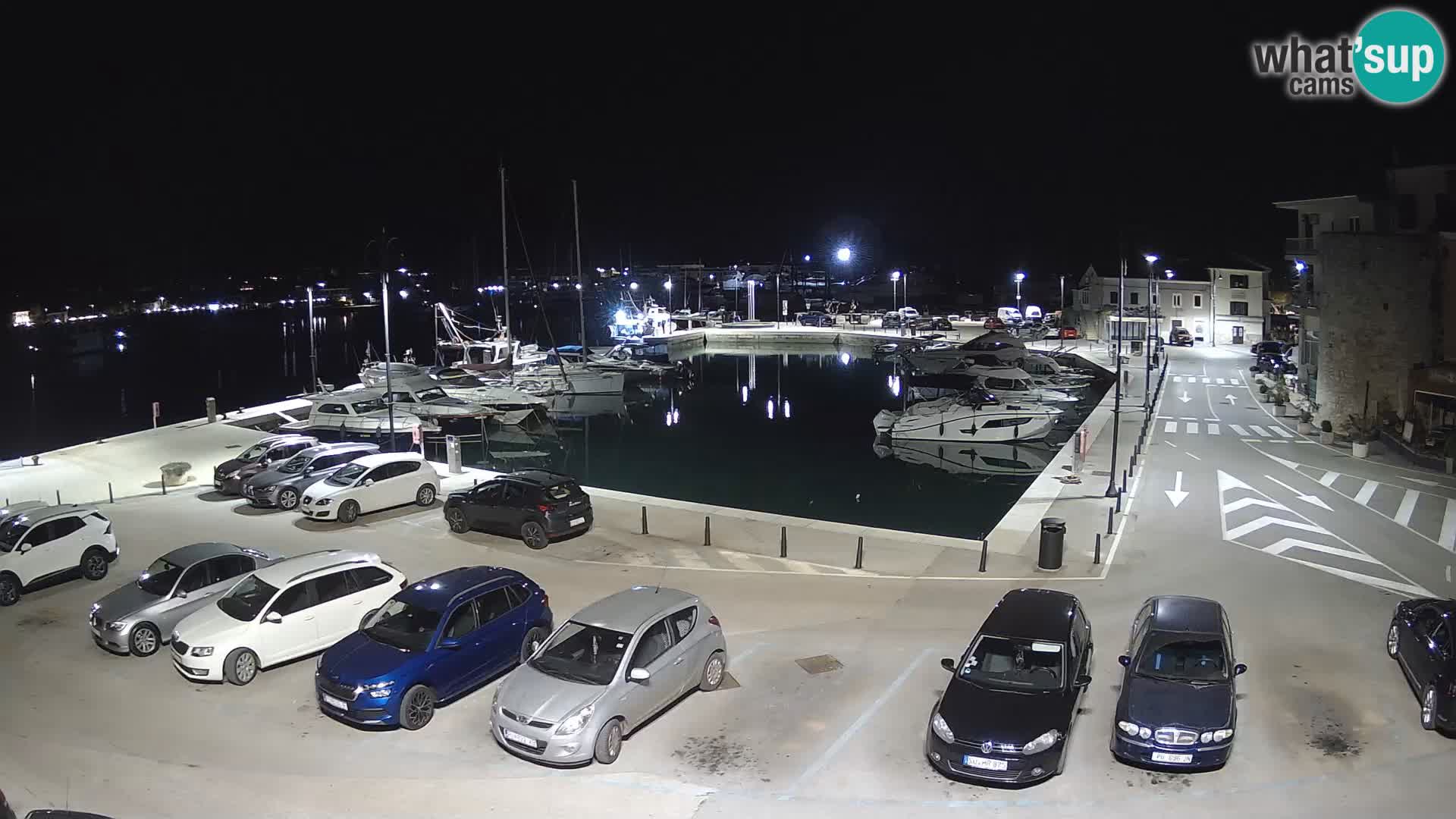 Novigrad | Porporela marina