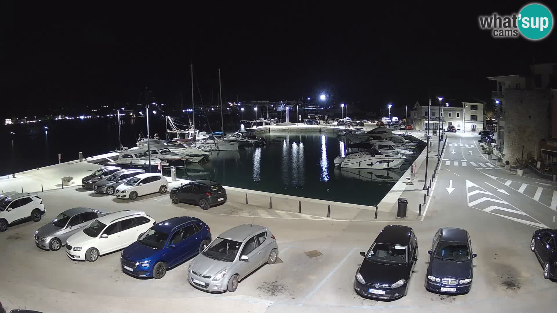 Novigrad | Porporela marina