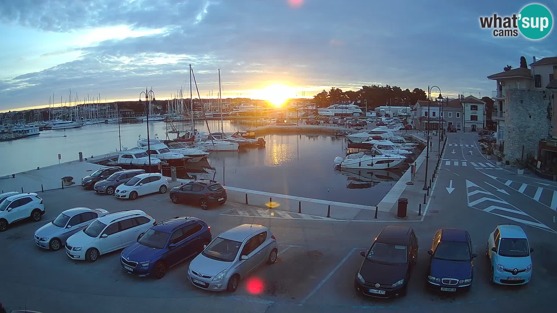 Novigrad | Porporela marina
