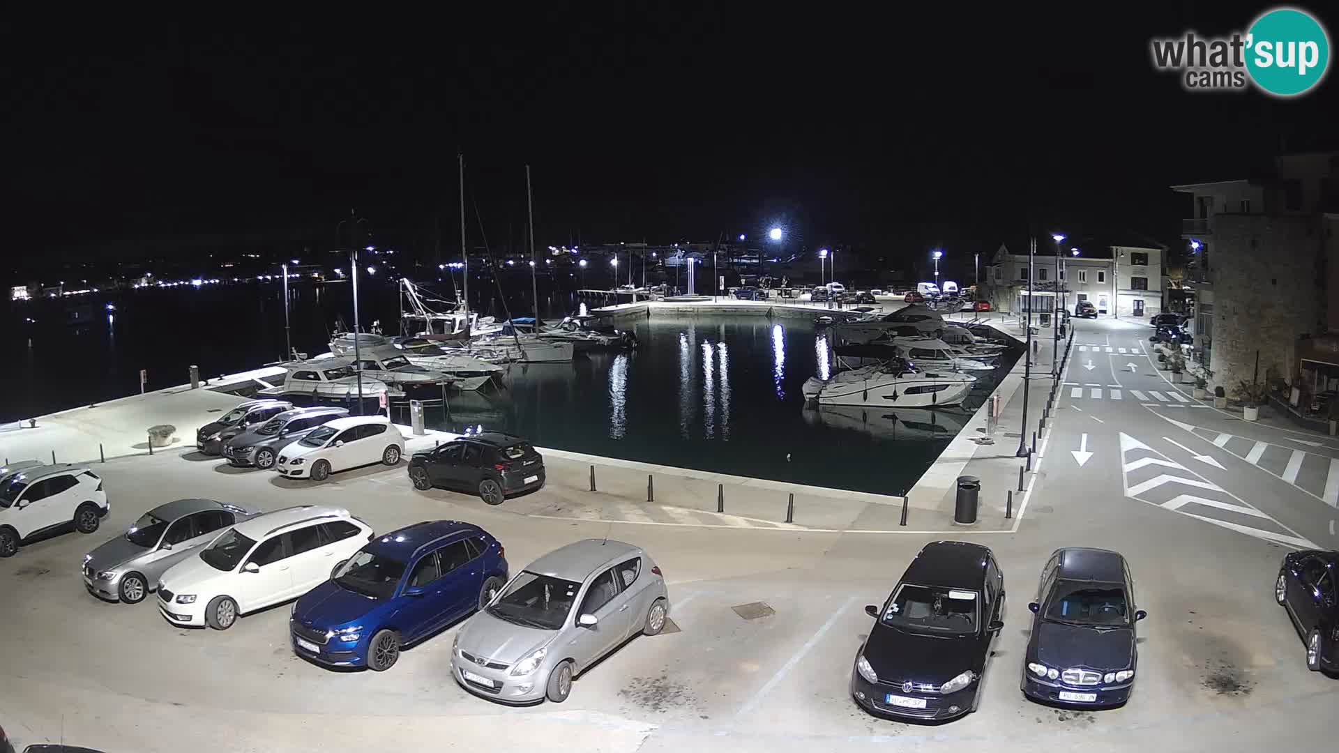 Novigrad | Porporela marina