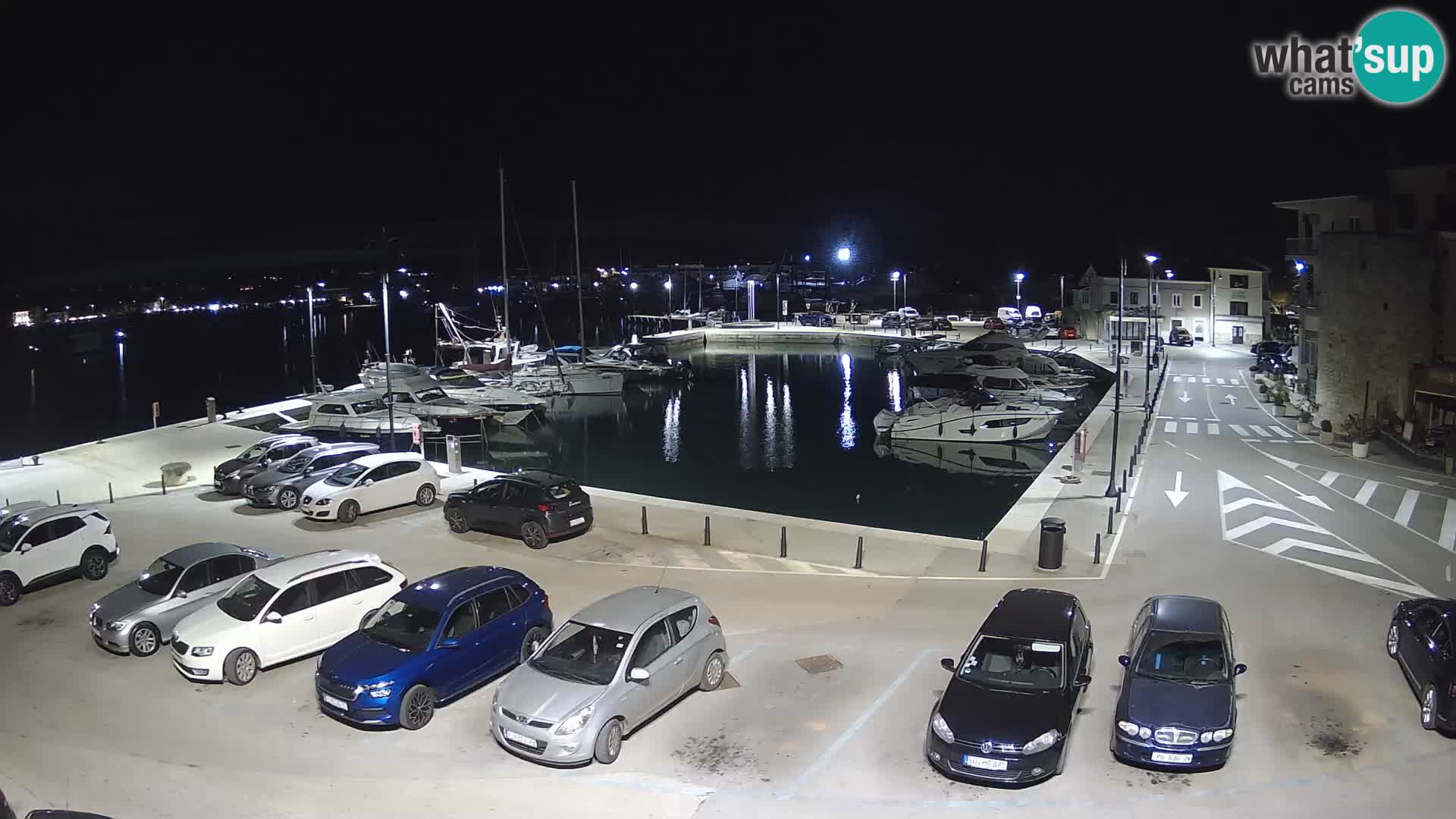 Novigrad | Porporela marina
