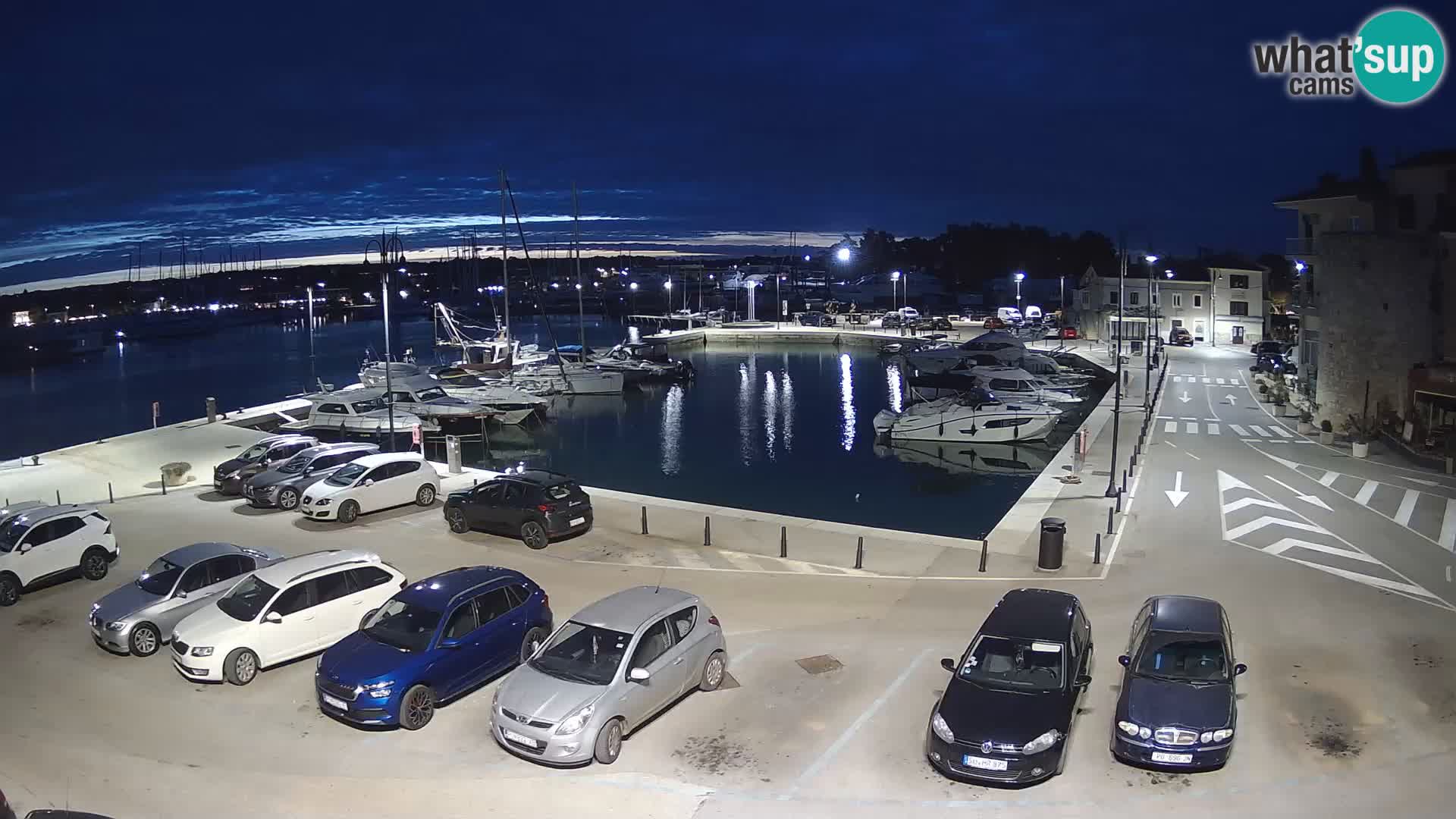 Novigrad | Porporela marina