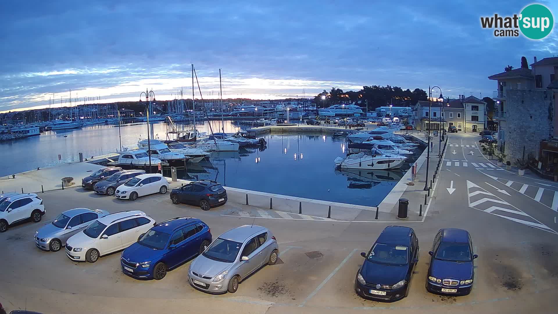 Novigrad | Porporela marina