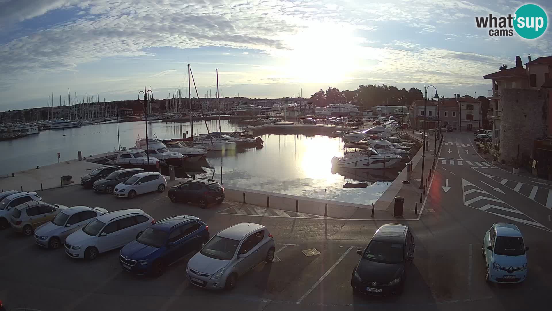 Novigrad | Porporela marina