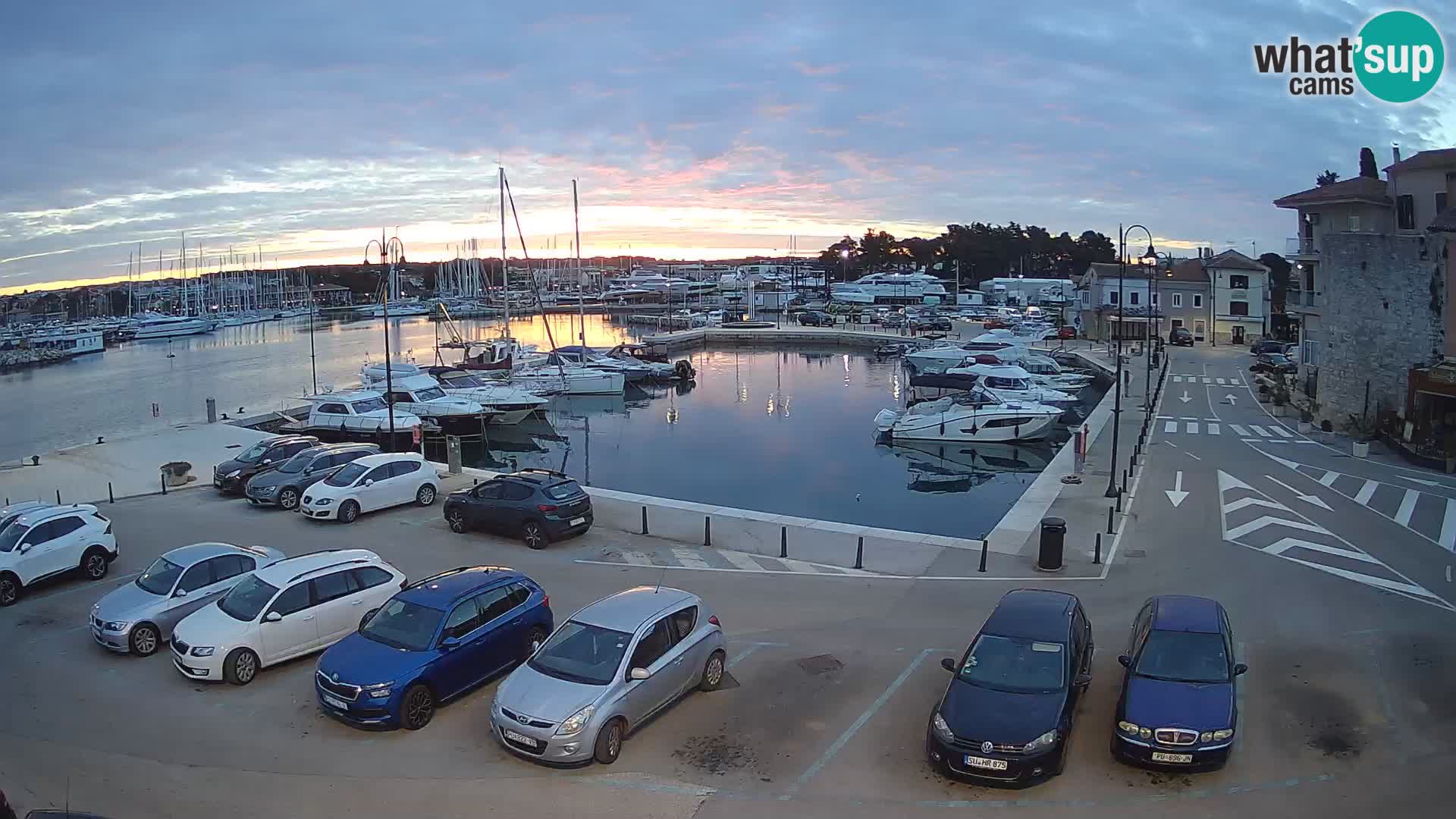 Novigrad | Porporela marina