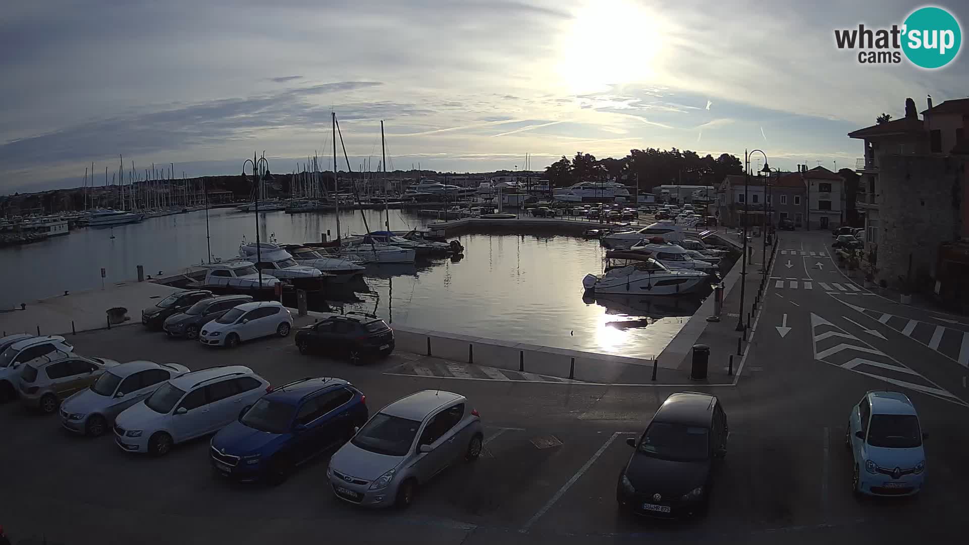 Novigrad | Porporela marina