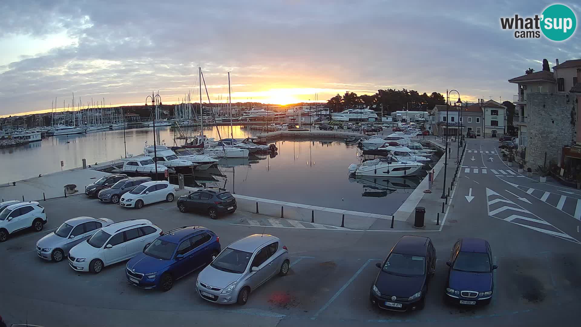 Novigrad | Porporela marina