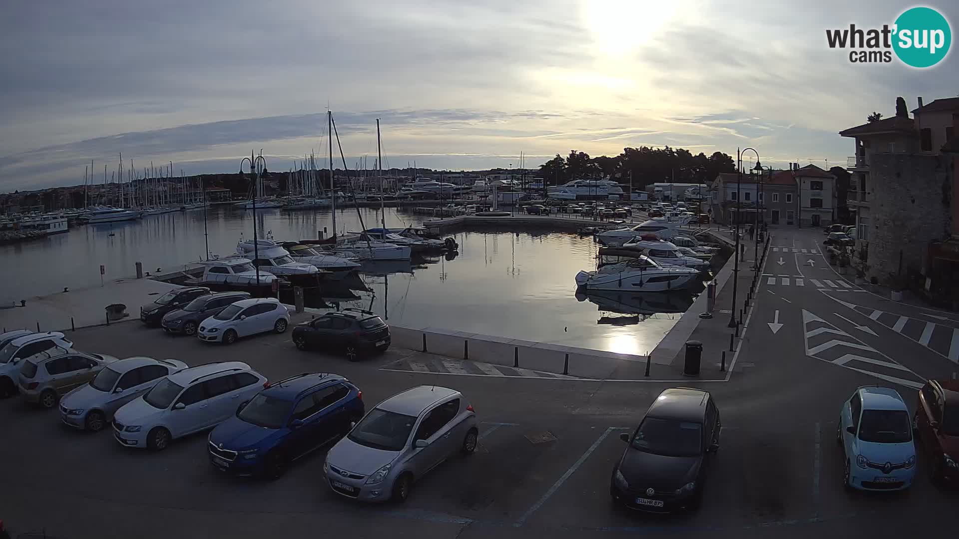 Novigrad | Porporela marina