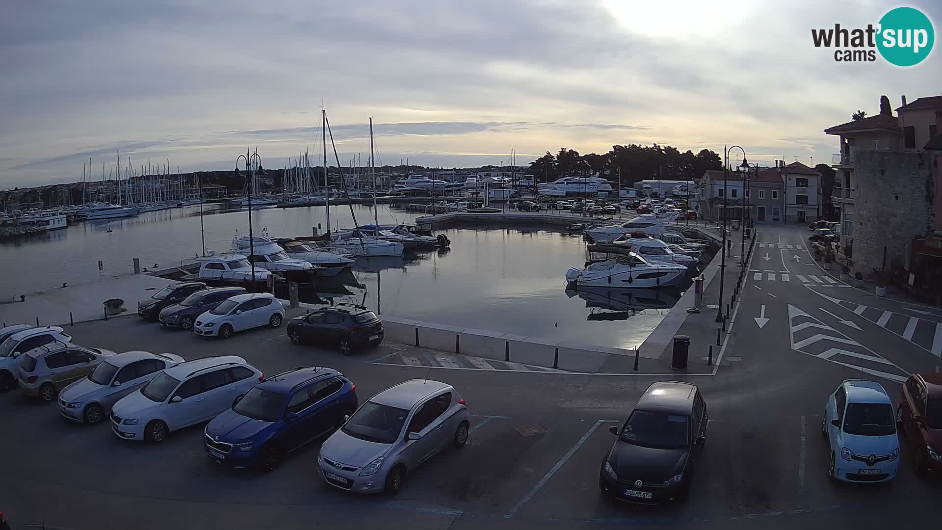Novigrad | Porporela marina