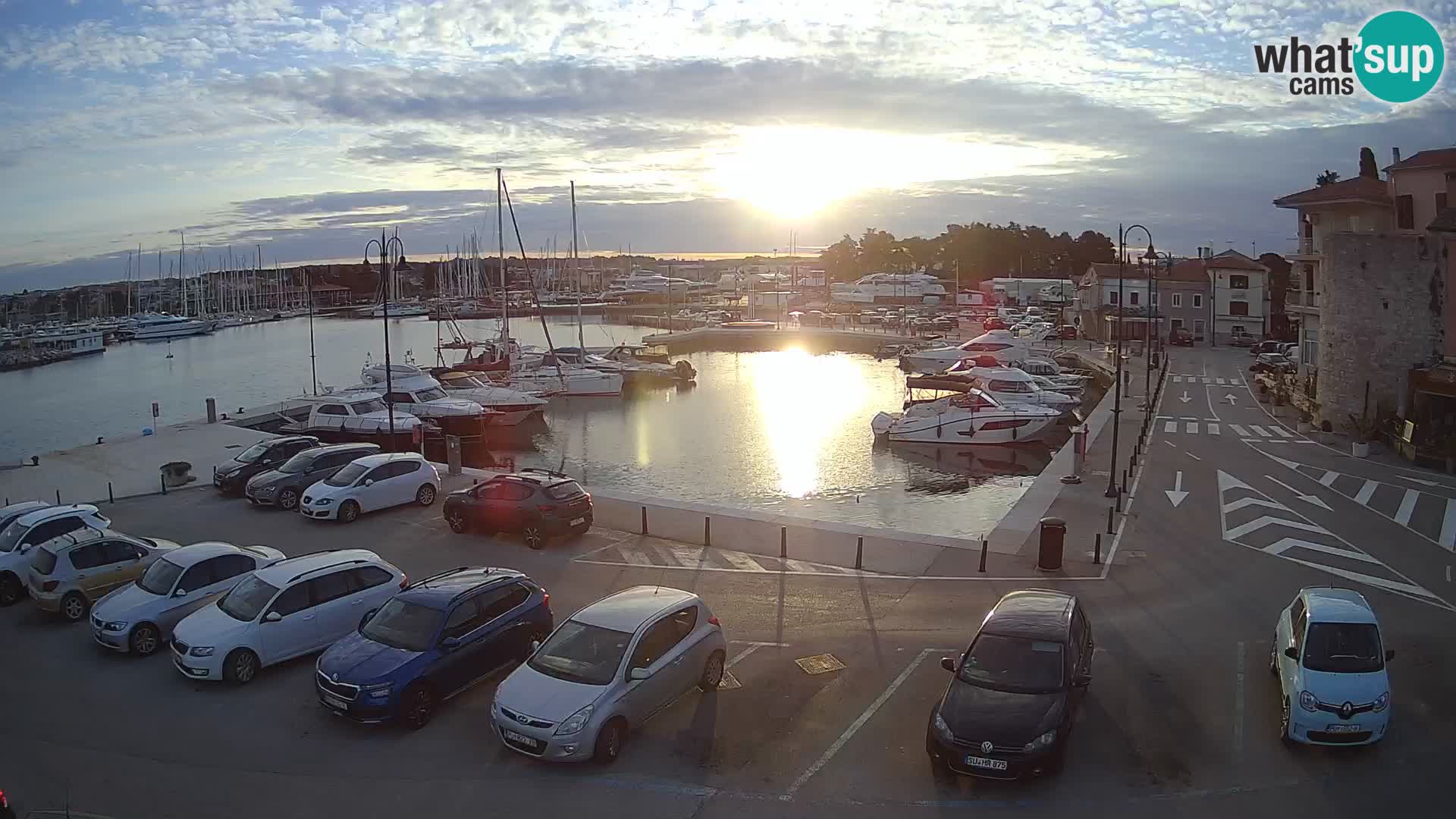 Novigrad | Porporela marina
