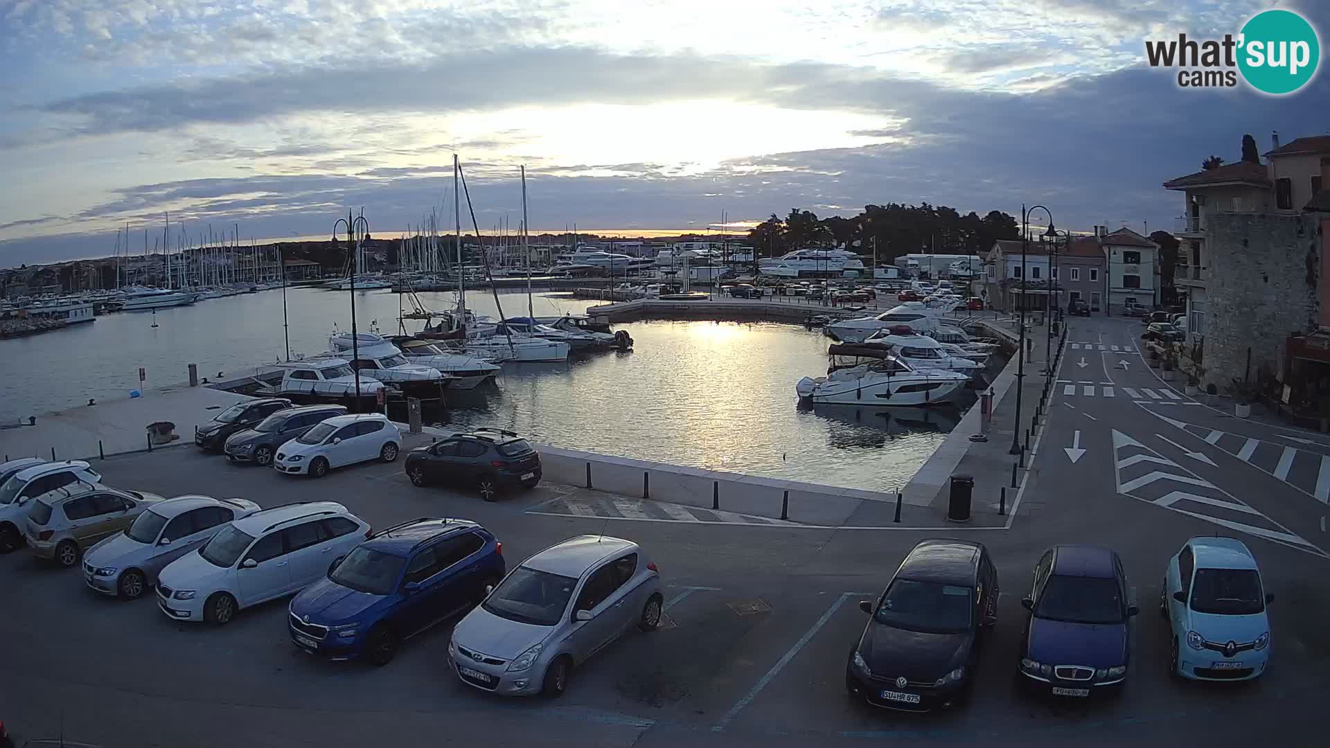 Novigrad | Porporela marina