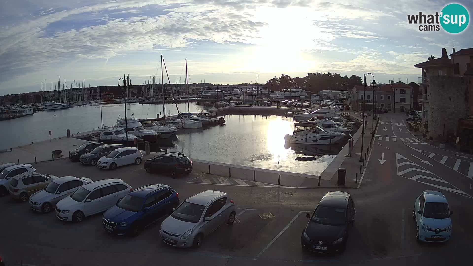 Novigrad | Porporela marina