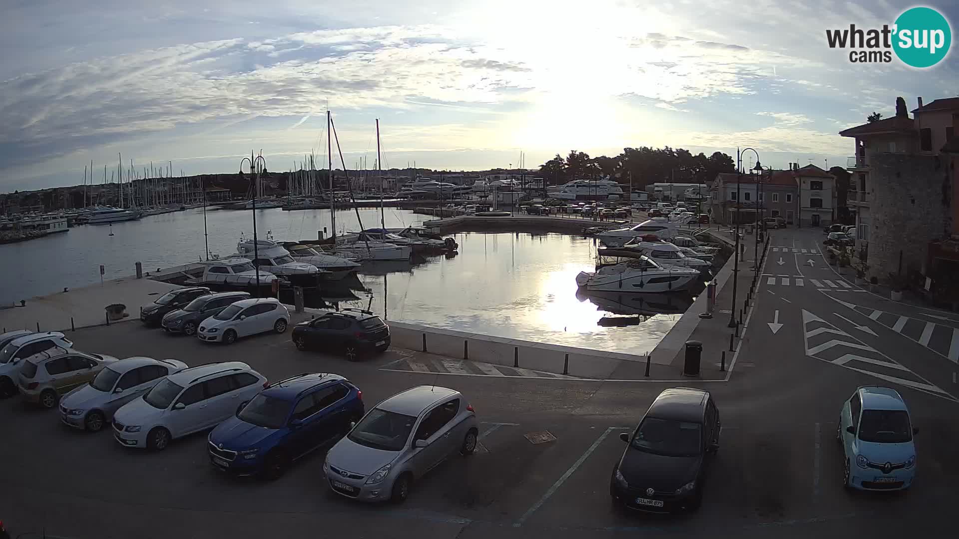 Novigrad | Porporela marina