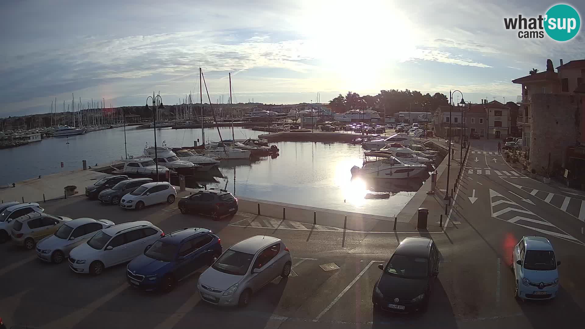 Novigrad | Porporela marina