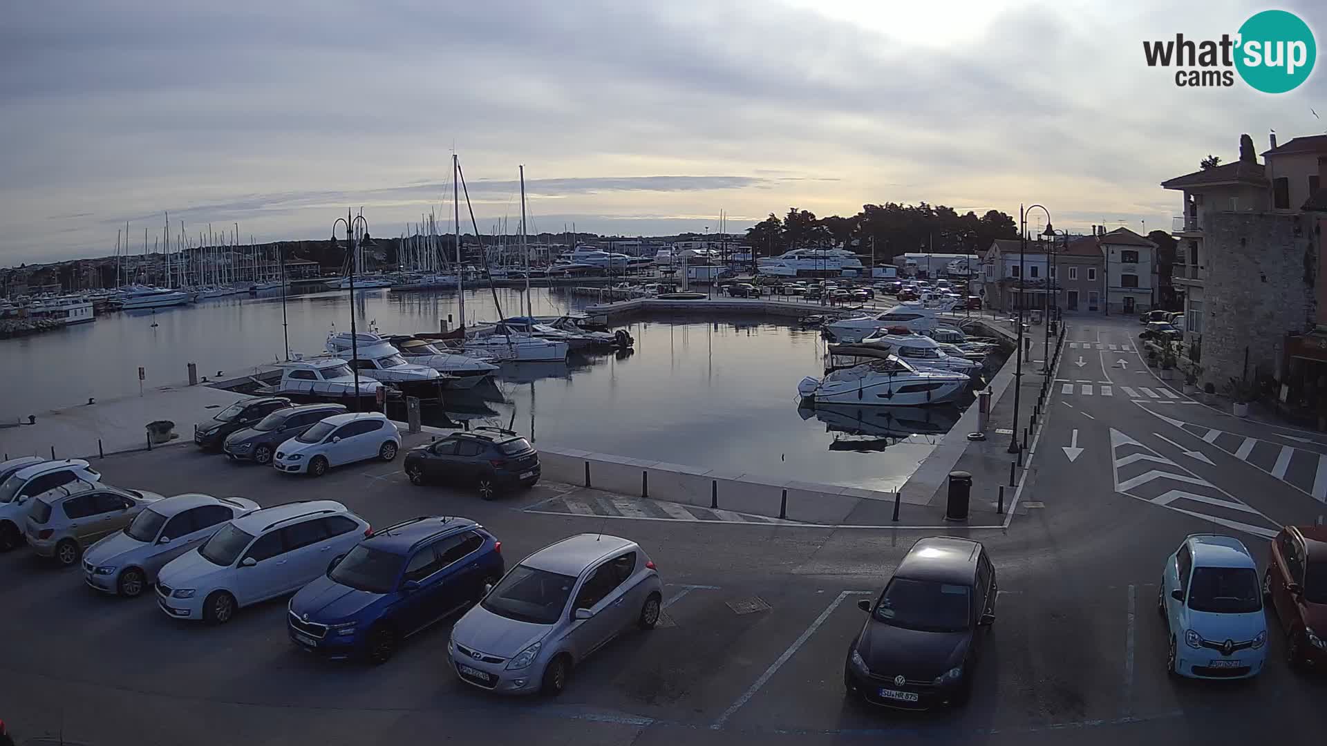 Novigrad | Porporela marina