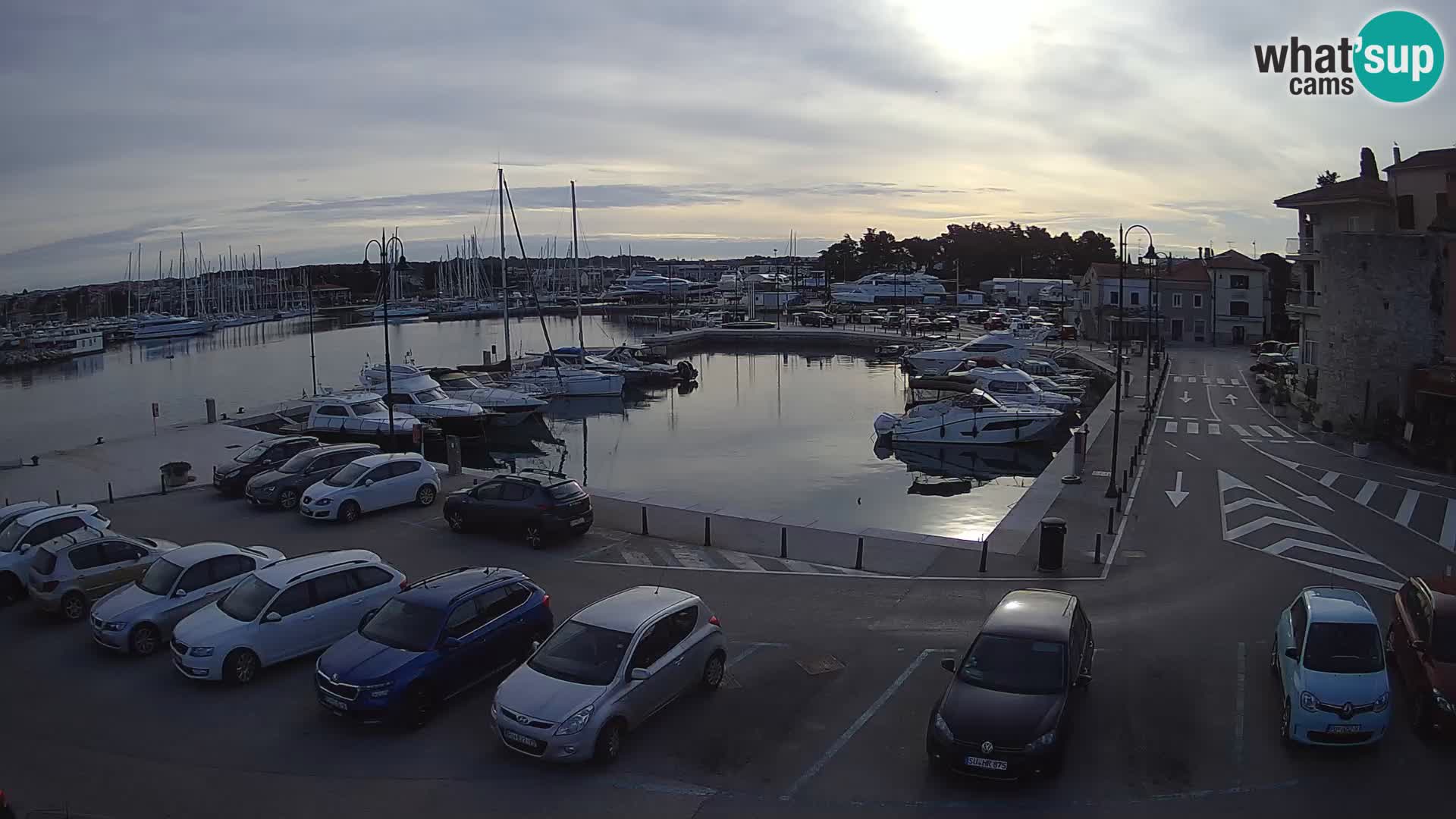 Novigrad | Porporela marina