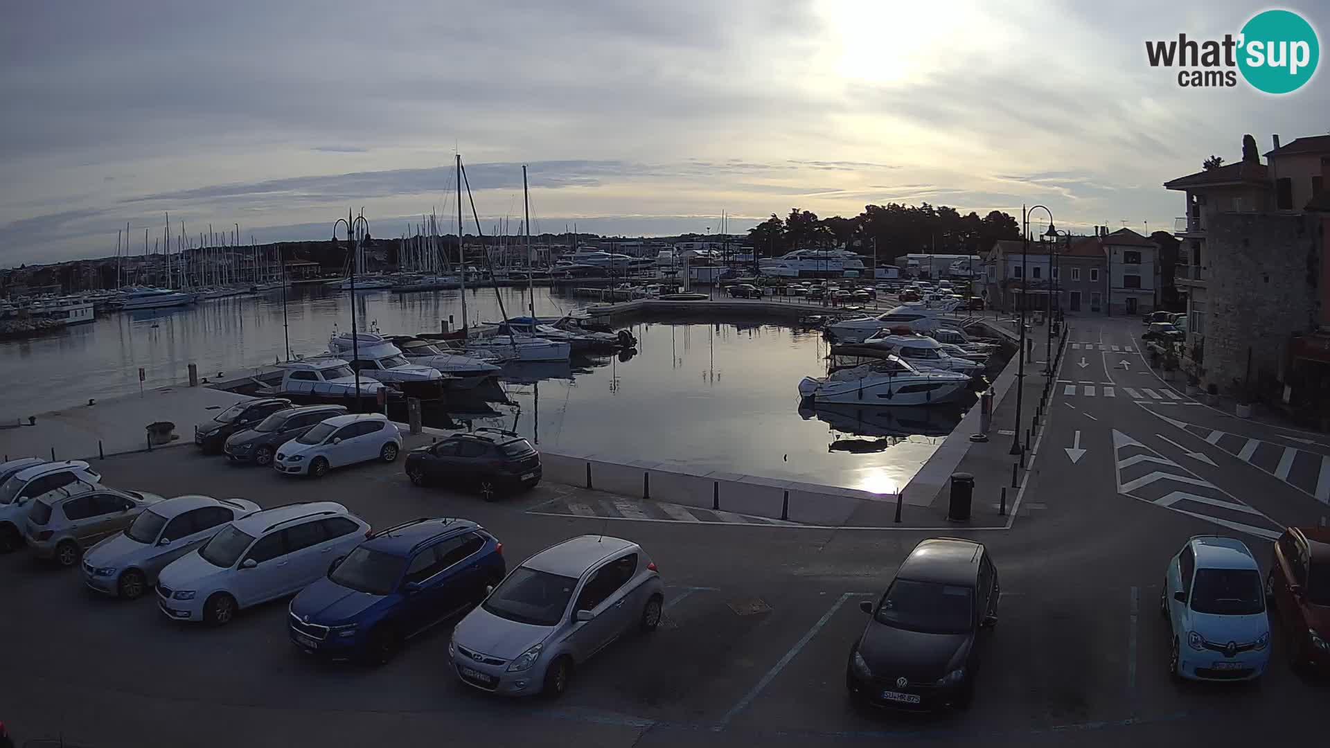 Novigrad | Porporela marina